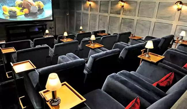 Unity The Amaryllis - Mini Theatre