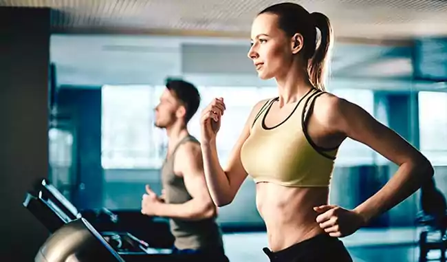 Unity The Amaryllis - Gym